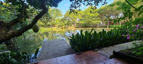 Binh Thuy Apartment | Villa THỦY NGUYÊN