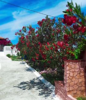 Kato Samiko Villa | Villa Thea: Family & Pet-Friendly Haven Rated 9/10