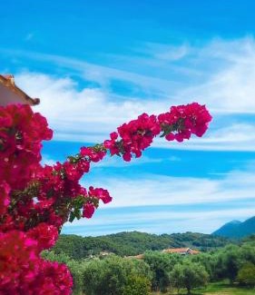 Kato Samiko Villa | Villa Thea: Family & Pet-Friendly Haven Rated 9/10