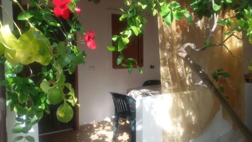 Scialara Apartment | Oceanfront Villa Tiarè: Guest Rated 9.5/10 & Family Friendly