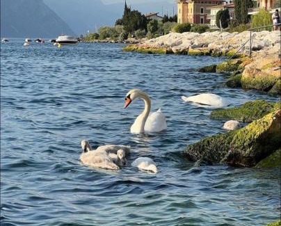 Magugnago House | Romantic Retreat at Villa Torre with Private Beach Access