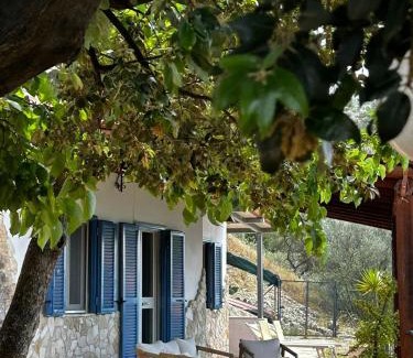Mattinata Villa | Guest Rated 10/10: Villa Torre di Lupo for Families & Pets