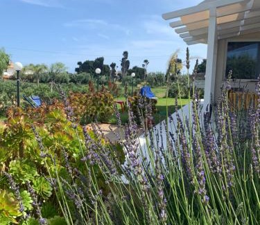 Noto House | Idyllic Villa Tra Mare e Ulivi with Oceanfront Views