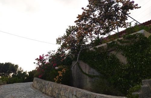 Leivathos House | Villa Tsapoula