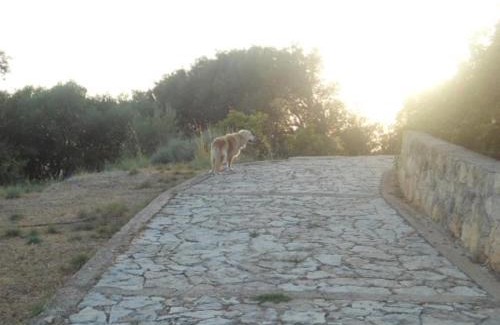 Leivathos House | Villa Tsapoula