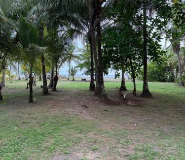 Parrita House | Villa Turtle