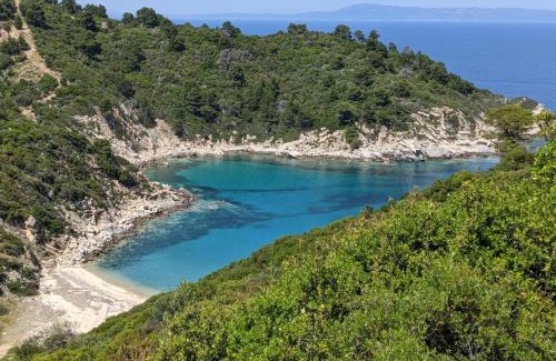 Sarti Apartment | Experience Villa Ulyana Sarti: Ancient Greece Awaits