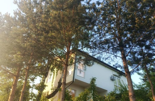 Central Bosnia Canton Villa | Villa Una: Guest Rated 10/10, Pet and Child Friendly