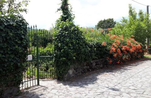 Rovittello House | Villa Vecchio: Guest Rated 9.4, Pet-Friendly with Pool