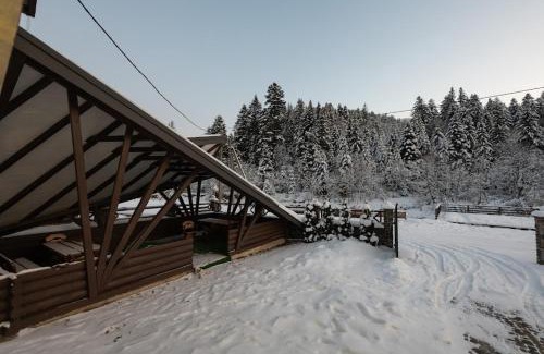 Tatariv Villa | Villa Venterivka 2: Guest Rated 10/10, Pet & Child Friendly