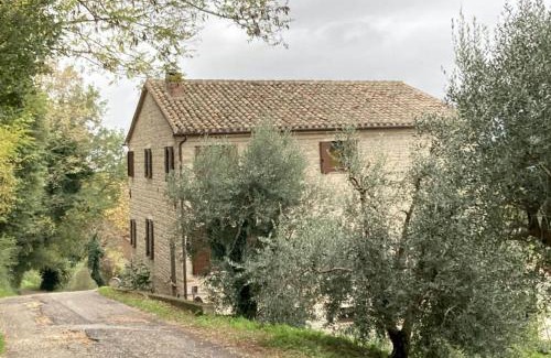 Cupramontana Bed & Breakfast | Villa Verdicchio: B&B with Wellness for Wine Enthusiasts