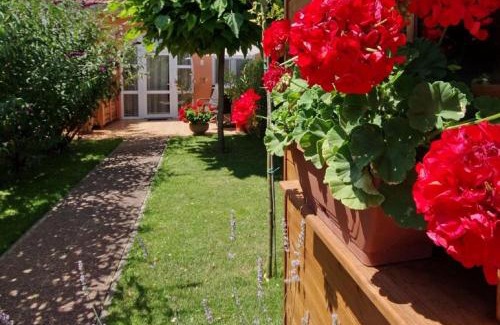 Gyula Apartment | Villa Viola Spa & Garden: Pet-Friendly Oceanfront Escape