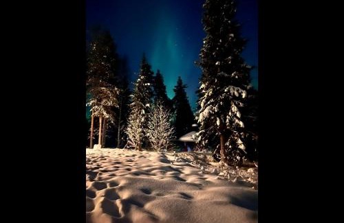 Rovaniemi Apartment | Discover Villa Wältti: 4-Star Family & Pet Friendly Retreat