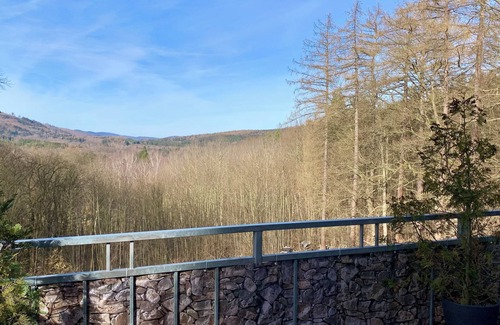 Friedrichroda Condo | Villa Warzenburg: Serene Apartment with Ocean Views & Fireplace