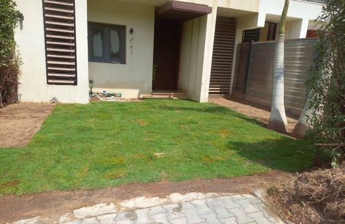 Sheikh Zayed City Villa | Villa with garden inside Allegria Compound 3-bedroom .00201102430222