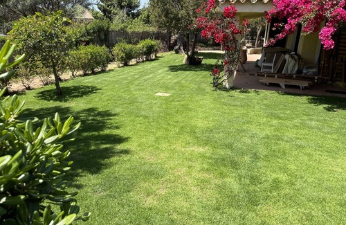 Villaggio delle Mimose Villa | Relaxing Villa with Garden, Steps from Timi Ama Beach