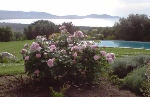 Lumio Villa | Idyllic Villa with Pool & Ocean View - Sleeps 8, Rated 10/10