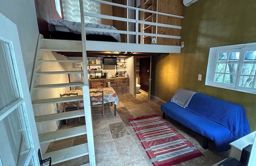 Arles Villa | Villa with swimming pool in a large garden dotted with olive trees