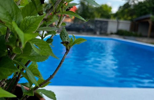 Sarajevo Villa | Discover Villa Wood & Green Sarajevo-Hadžići with Pool Access