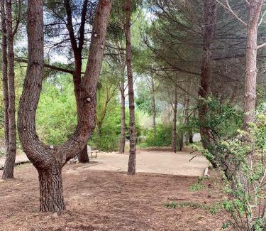 Pinet Villa | Villa Zen