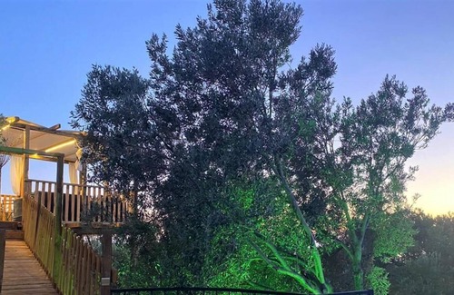 Patara Villa | Villa Zeytin - Doğa içinde, Korunaklı, Havuzlu