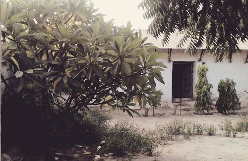 Rohet Other | Experience Village Castle: A Desert Retreat with Breakfast