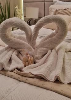 Pituacu House | Discover Casa Aconchegante: Family & Pet-Friendly Stay!