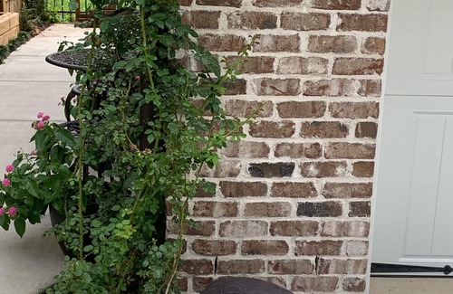 Davidson Apartment | Ideal Village Studio: Steps to Campus & Town, Spa Included