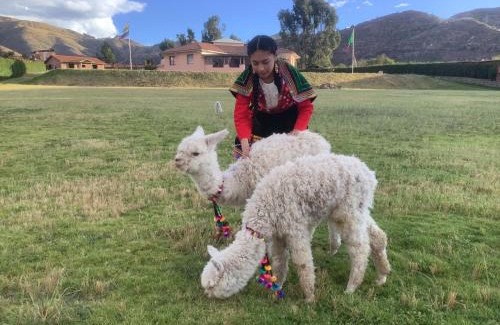 Cusco Bed & Breakfast | Villarcadia