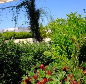 Brucoli House | Family-Friendly Stay at Villarinagisira - Perfect for Kids!