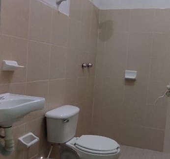 Palenque Other | Budget-Friendly Villas del Carmen Hostal with Pool & Pets