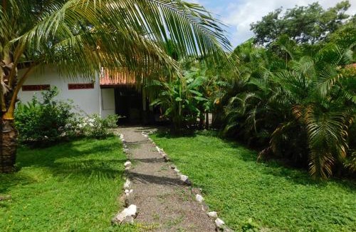 Samara House | Relaxing Villas Jungle 5: Oceanfront Retreat with Pool