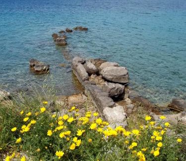 Alyki House | Pet-Friendly Villa Giallo with Oceanfront Views