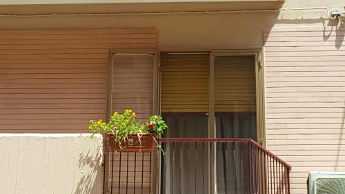 Mola di Bari Apartment | Budget-Friendly Vilmahouse: Pet and Child Friendly Retreat