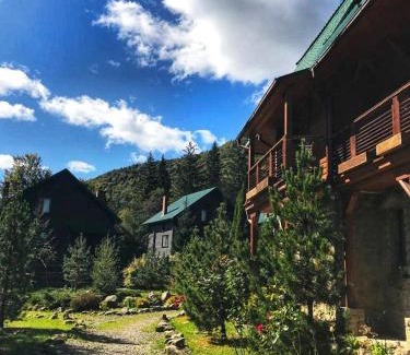 Bystrytsya Hotel | Discover Vilni Vitry: Pet-Friendly Stay with Pool & Dining