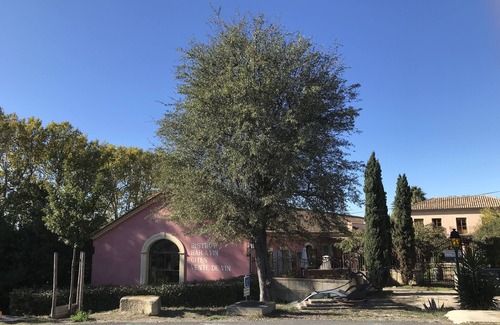 Poilhes Apartment | Vinauberge, Gîte Syrah: Exceptional Retreat by Canal du Midi
