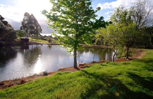 Henty Apartment | Top-Rated Vineyard Accommodation with Kitchen & Pet-Friendly