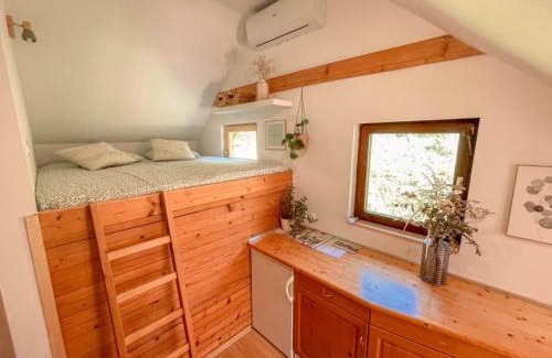 Metlika House | Vineyard escape Šuklje