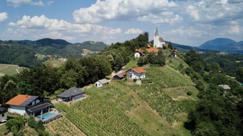 Spodnja Polskava House | Pet-Friendly Vineyard Paradise Senica with Great Amenities