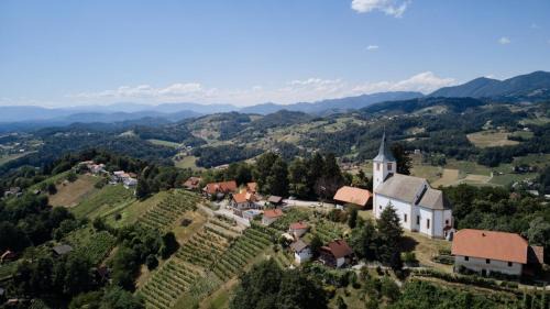 Spodnja Polskava House | Pet-Friendly Vineyard Paradise Senica with Great Amenities