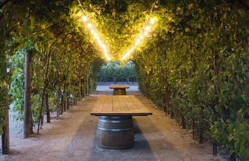 Morgan Hill Apartment | Idyllic Vineyard Suite with Private Entrance and Amenities