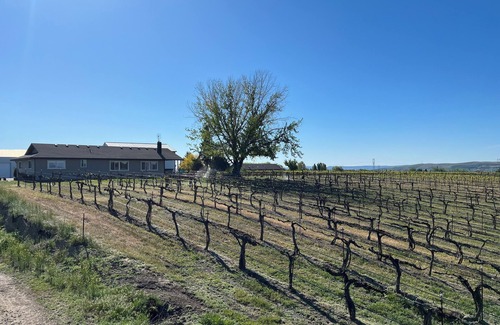 Outlook House | Relaxing Retreat at Dichotomy Vineyards in Yakima Valley