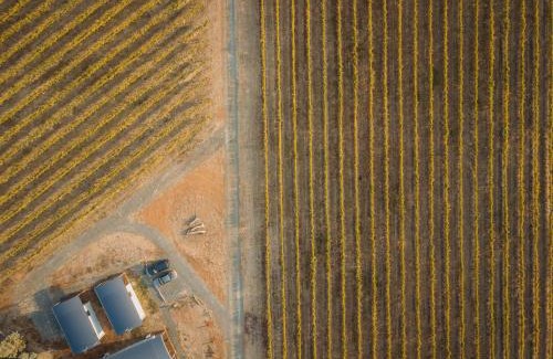 Cornella Apartment | Experience Vineyard Views at Shiraz Republic - Top Rated Stay