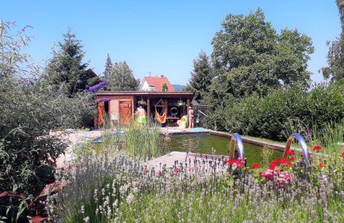Miskolc-Tapolca House | Discover Vintage Home Vendégház with Relaxing Hot Tub