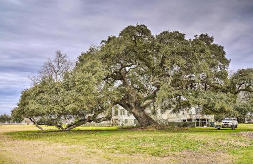 New Roads House | Charming Vintage Louisiana Vacation Rental for Families and Pets