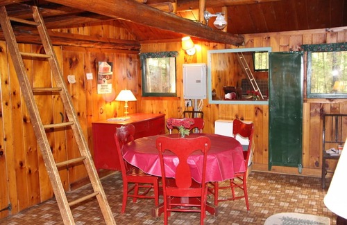 Saranac Lake Cabin | Charming Vintage Adirondack Cabin with Lake View Amenities