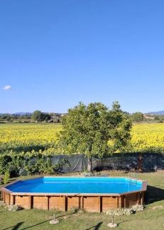 Santarello House | Elegant Violino: Oceanfront Oasis with Exceptional Reviews