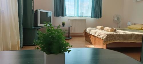 Mukachevo Apartment | Stylish VIP Apartments in the Heart of the City