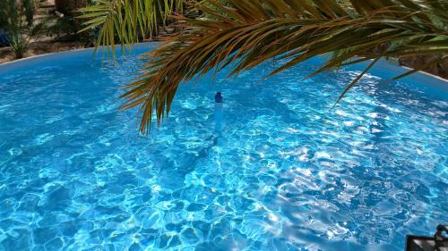 Tozeur Villa | VIP Coco Oasis Villa