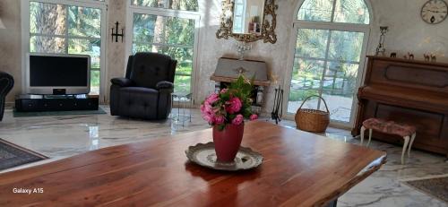 Tozeur Villa | VIP Coco Oasis Villa